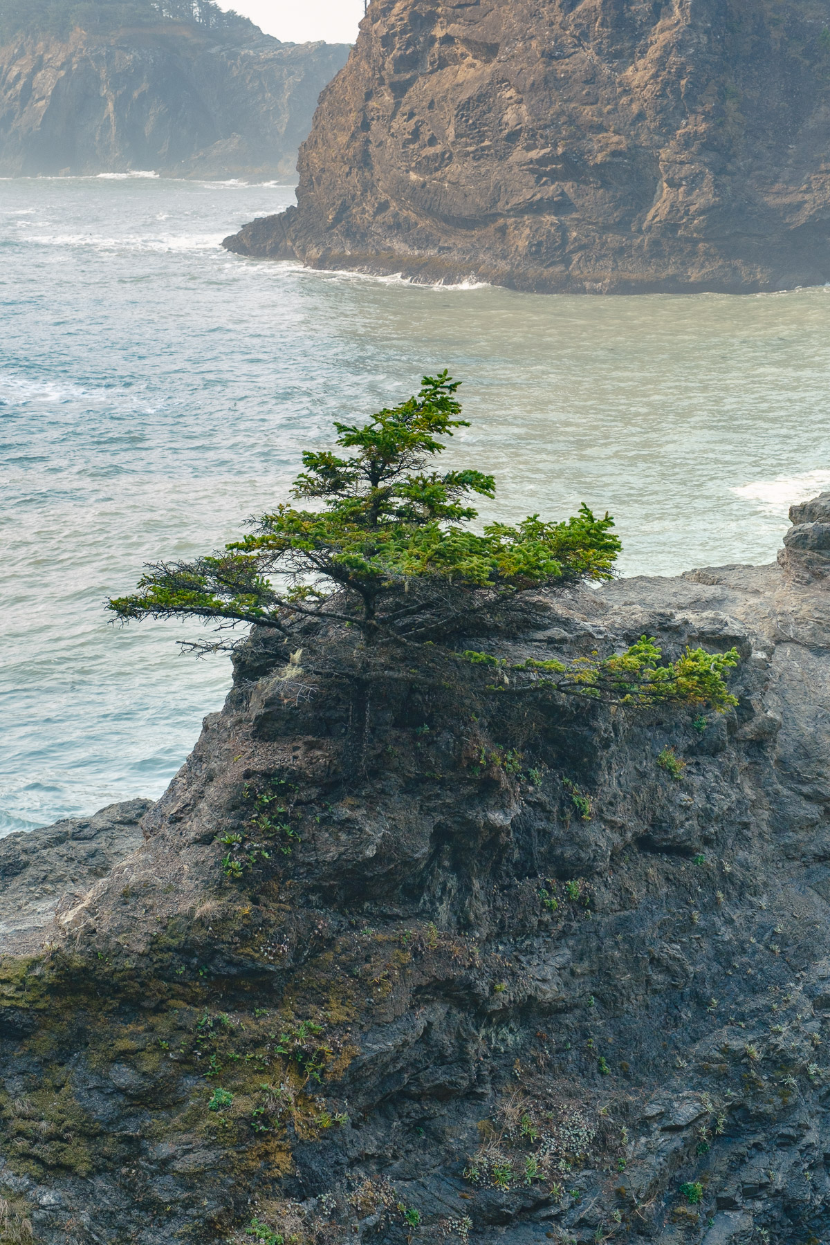 Pacific Northwest Road Trip photo titled Pacific Coast 28